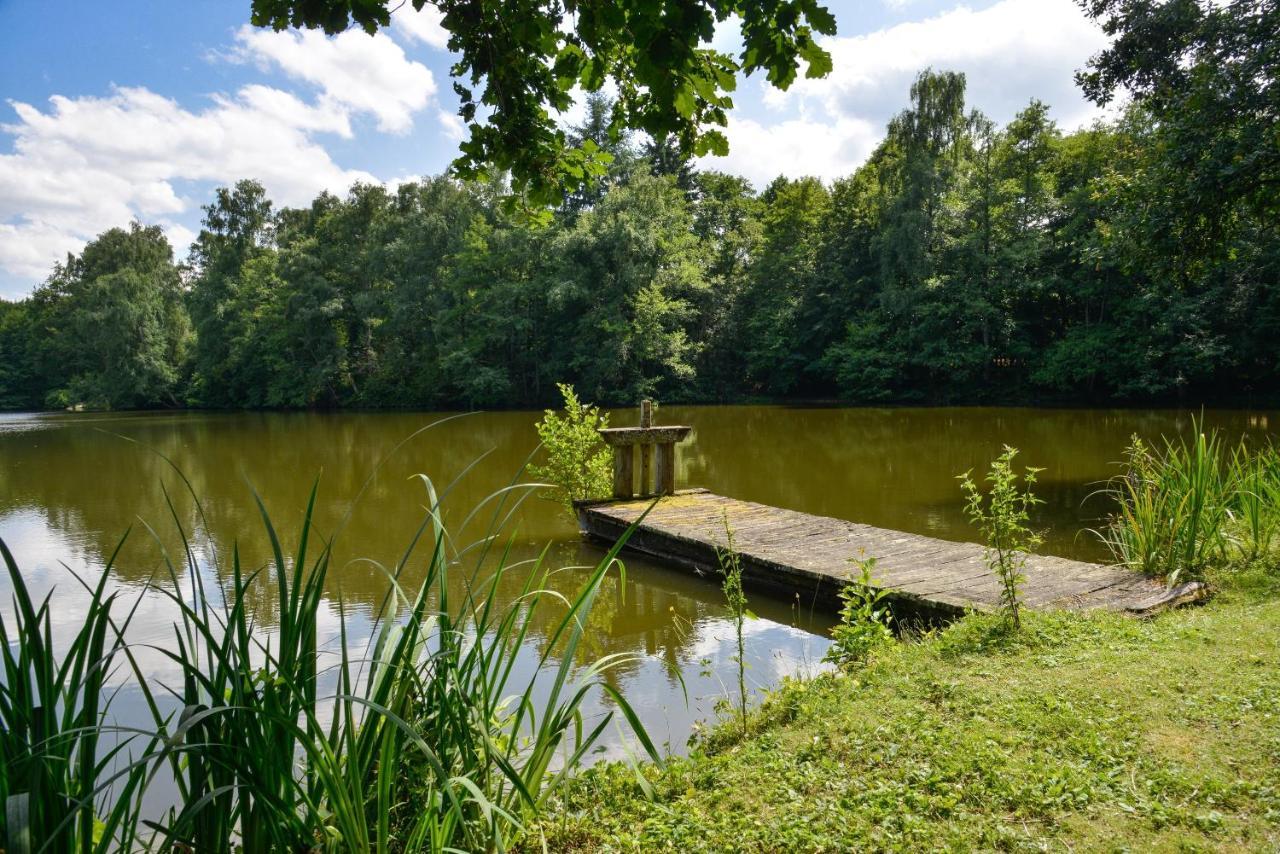 La Genetiere - Grande Maison Avec Etang En Sologne Mery-es-Bois ภายนอก รูปภาพ